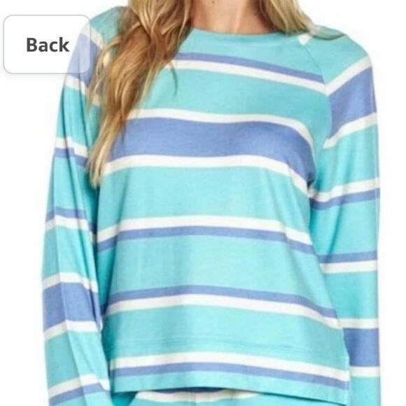 WILDFOX Blue Stripe Sweatshirt size S - Picture 4 of 12